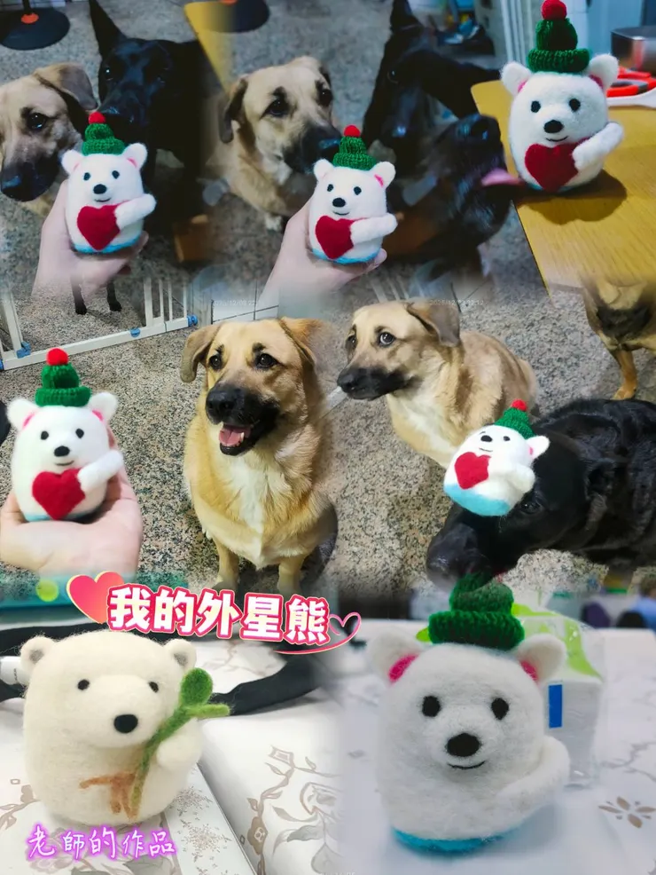 左下是老師的作品