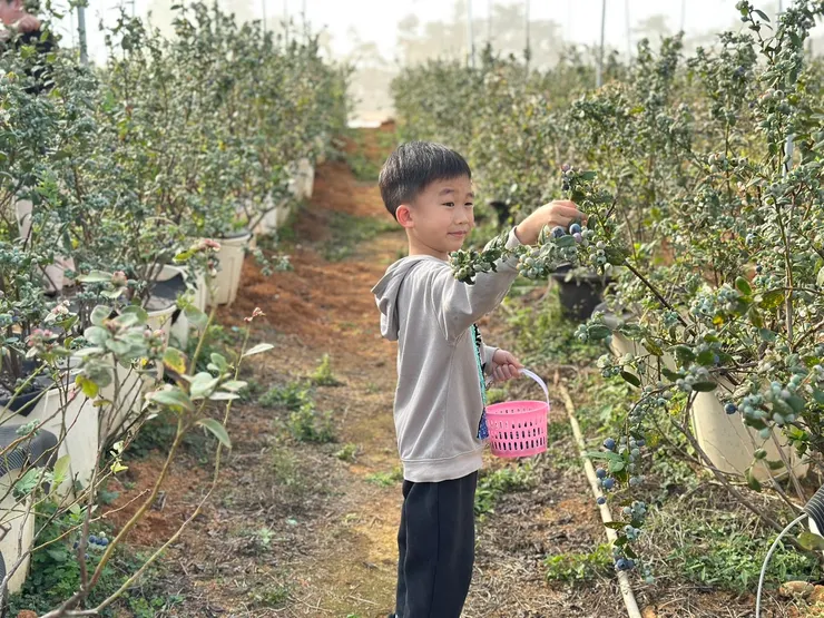 不用彎腰，不用剪刀，手輕輕一剝就下來了
