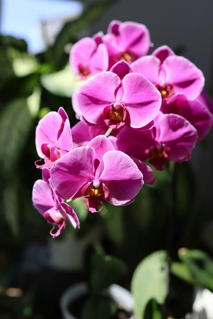 Photo by Amelia Cui on Unsplash