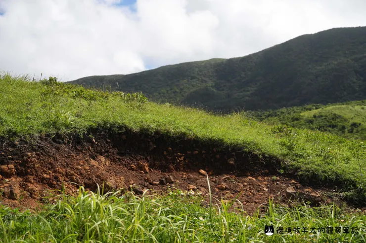 青青草原是珊瑚礁台地,由鐵、鎂、礦物積成紅土