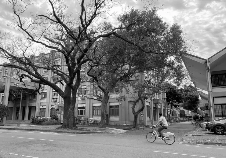 位於水杉道上,與第一學生活動中心相鄰的農藝館