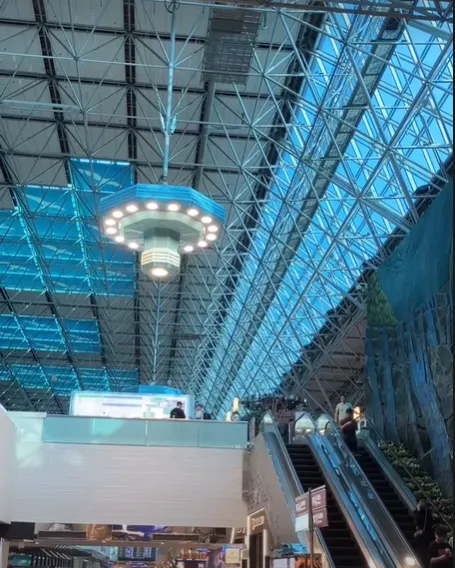 下來後還心有餘悸