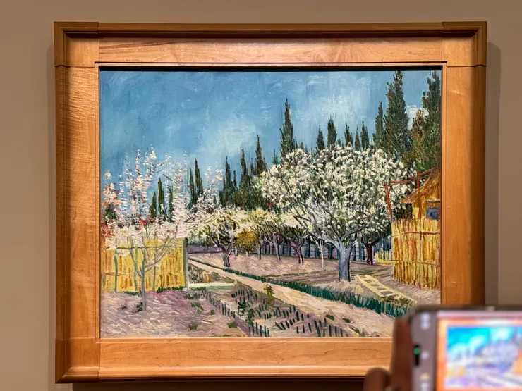 【柏樹圍繞的果園】很清新的風格