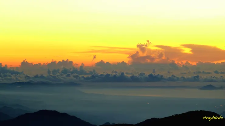 仔細向遠處看，龜山島也出現在眼前。