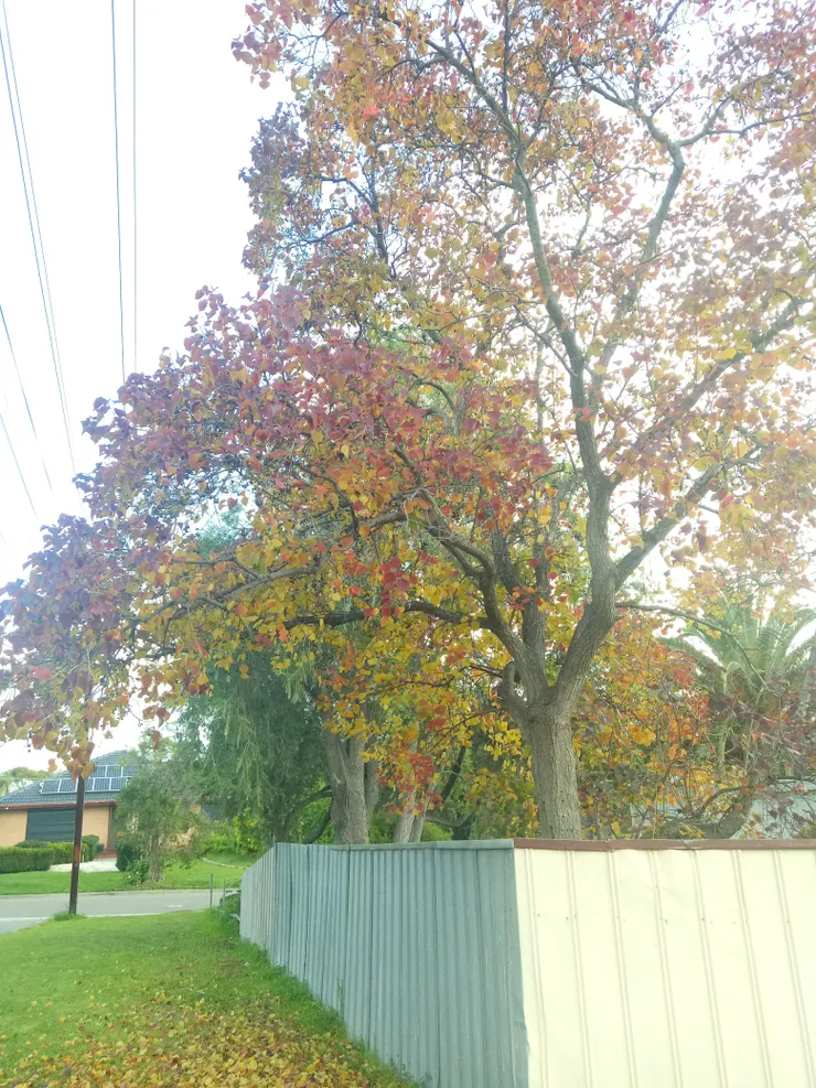 就像大自然一樣無條件的給予