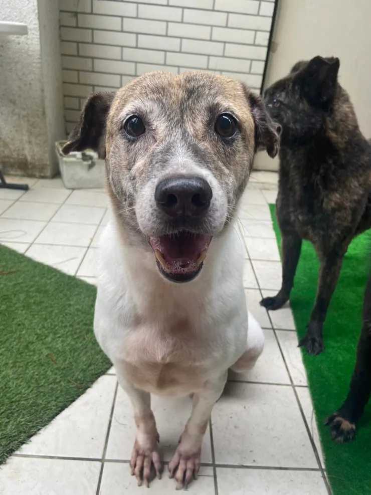 2019年很少年的斑