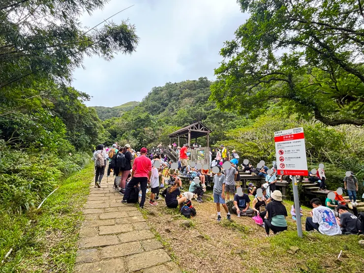 芒花季又碰上假日時人超多的「休息站」(自行拍攝)