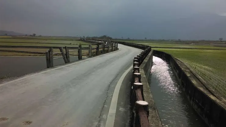 美麗的伯朗大道，當然不是顧路在這裡，呵呵