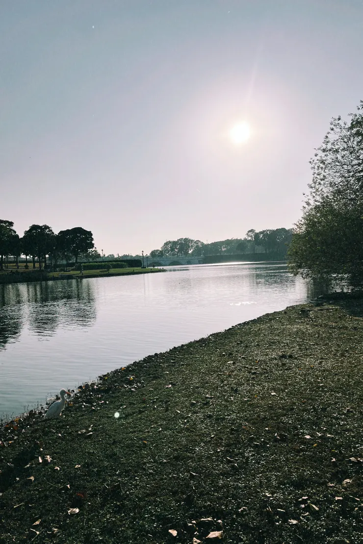 圖5奇美博物館河畔