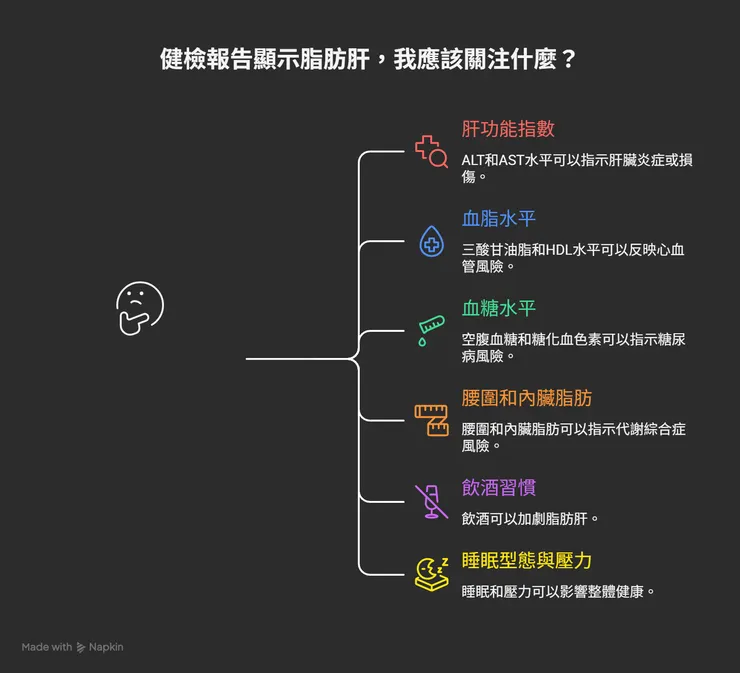 脂肪肝後續六指標