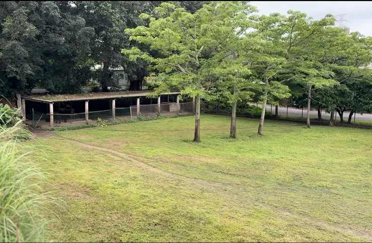 馬兒安靜地吃草，我們安靜地看著馬兒。