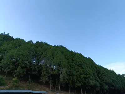 歲末兩天出遊中