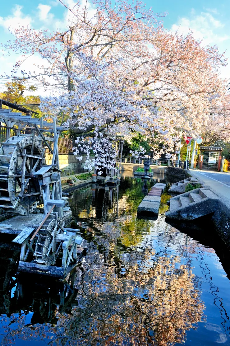 【蓮沼川，有水車及銅雕人像，不知是否有人來此浣衣？】