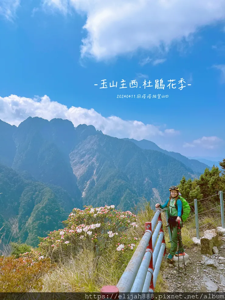 【玉山主峰西峰.兩天兩夜】冷到爆炸的玉山主峰賞雲海/一直走花