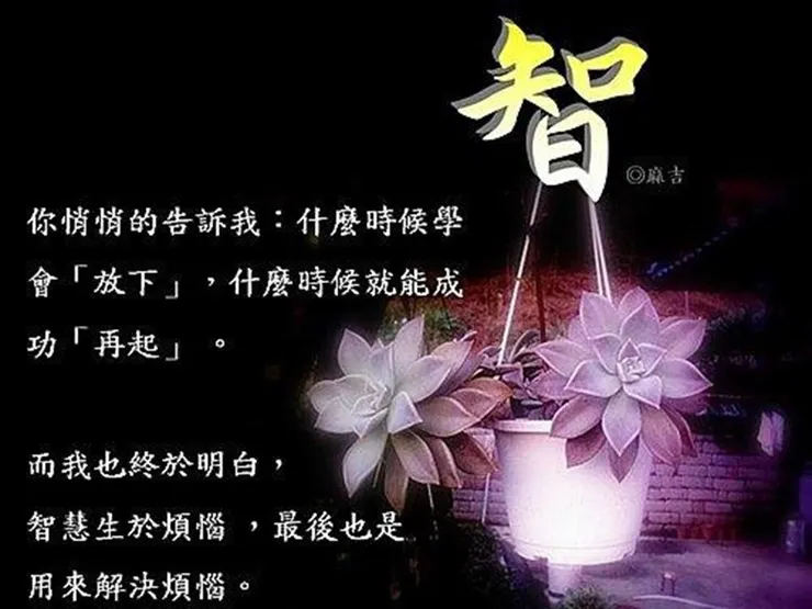 麻吉的圖文創作