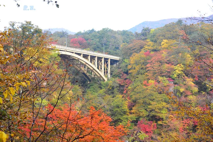 鳴子峽一景 ([陳傳義]拍攝)