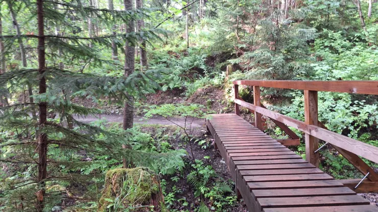 前半步道的小橋