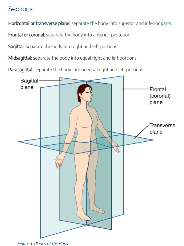 REF : https://rotel.pressbooks.pub/anatomyphysiology/chapter/01-body-organization-planes-sections-and-organ-systems/