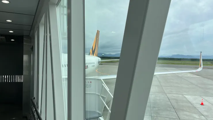 終於抓到虎航的「尾巴」。