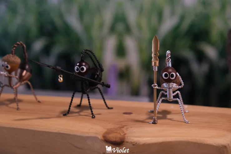 鯉魚潭風景區螞蟻兵團