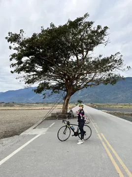 池上：金城武樹