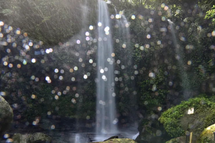 圖片來自健行筆記-雨後尋四龍瀑布