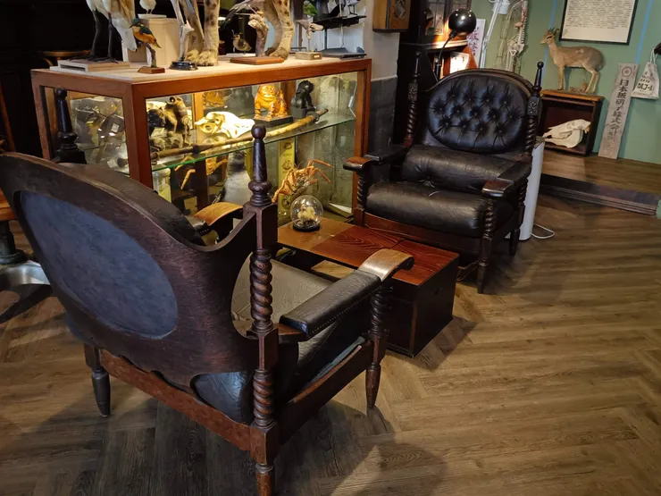 古董一般的椅子，旁邊陳列大量標本，連桌上都有一個！
