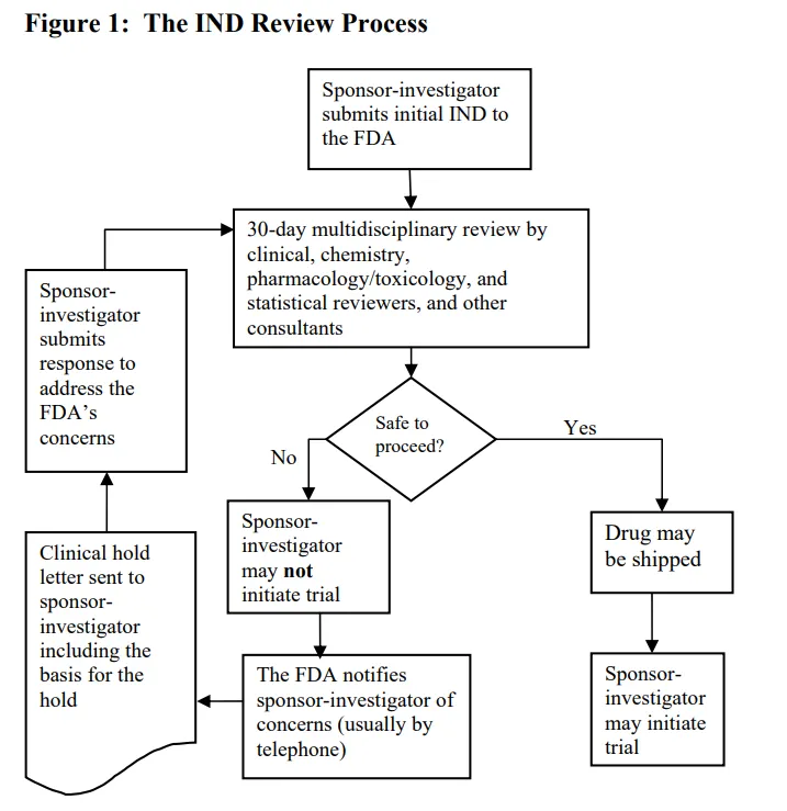 the IND review process