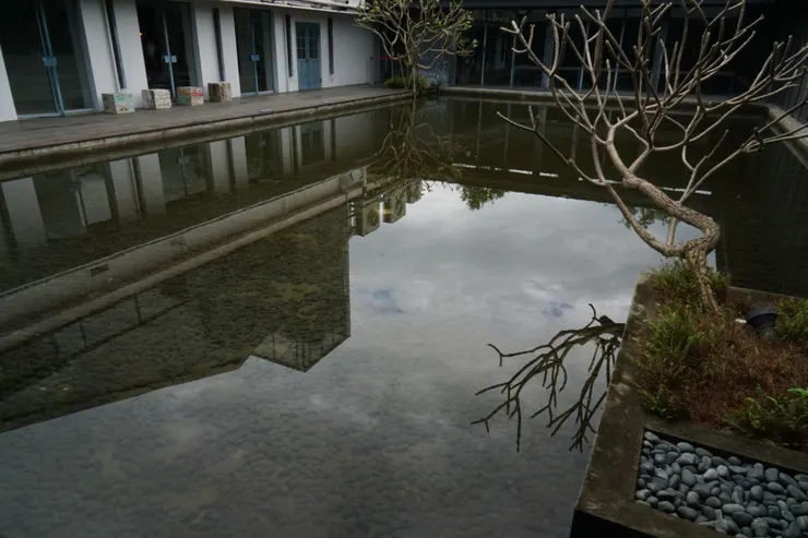 2016大溪老茶廠