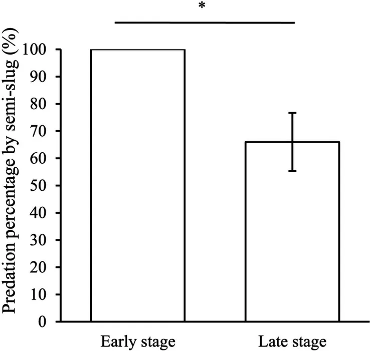 胚胎發育早期何晚期蛞蝓捕食卵的百分率比較,p=0.004