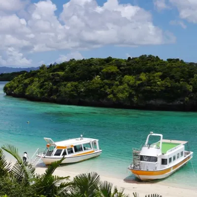 那些你不敢說的事