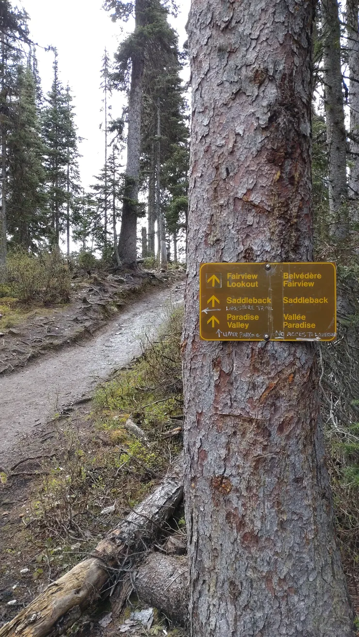 所有指示牌都是雙語,英文跟法文