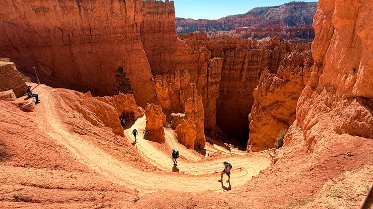 遊客很多但走到谷底的不多