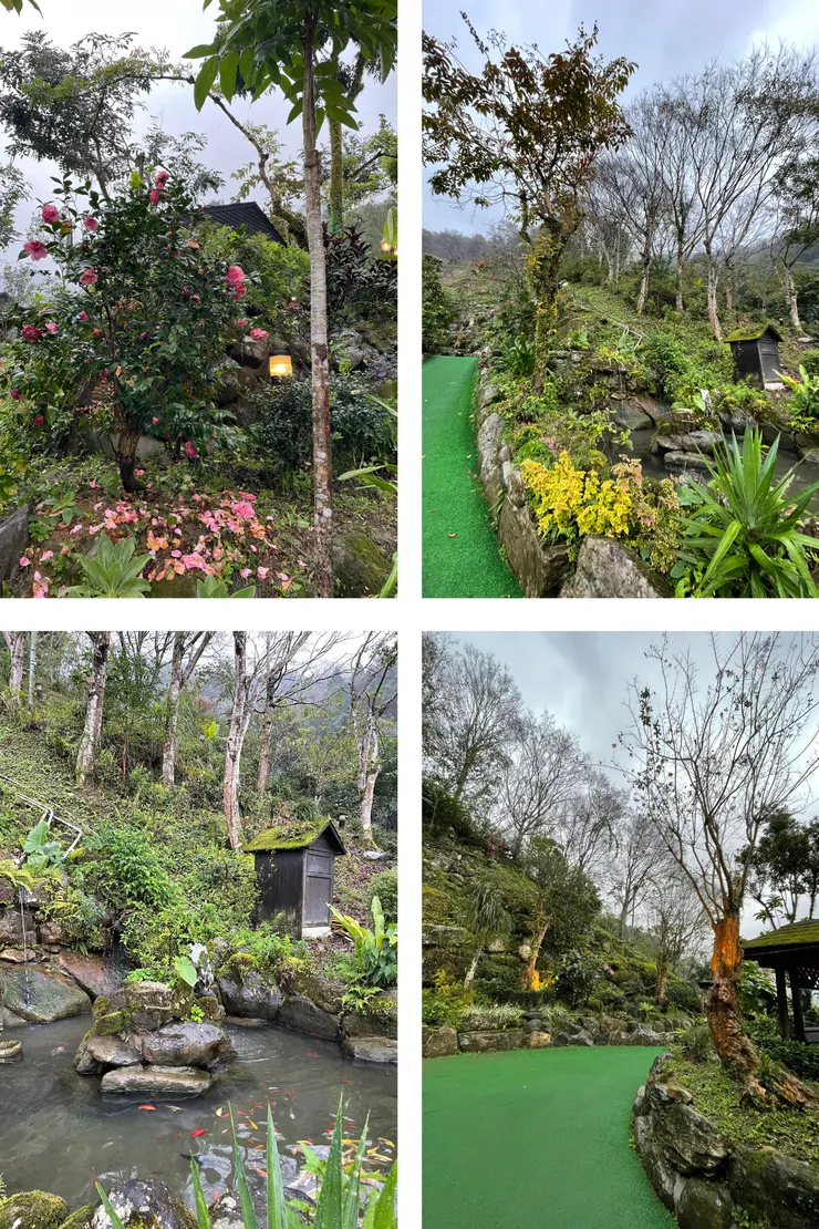 餐廳外滿滿的植栽