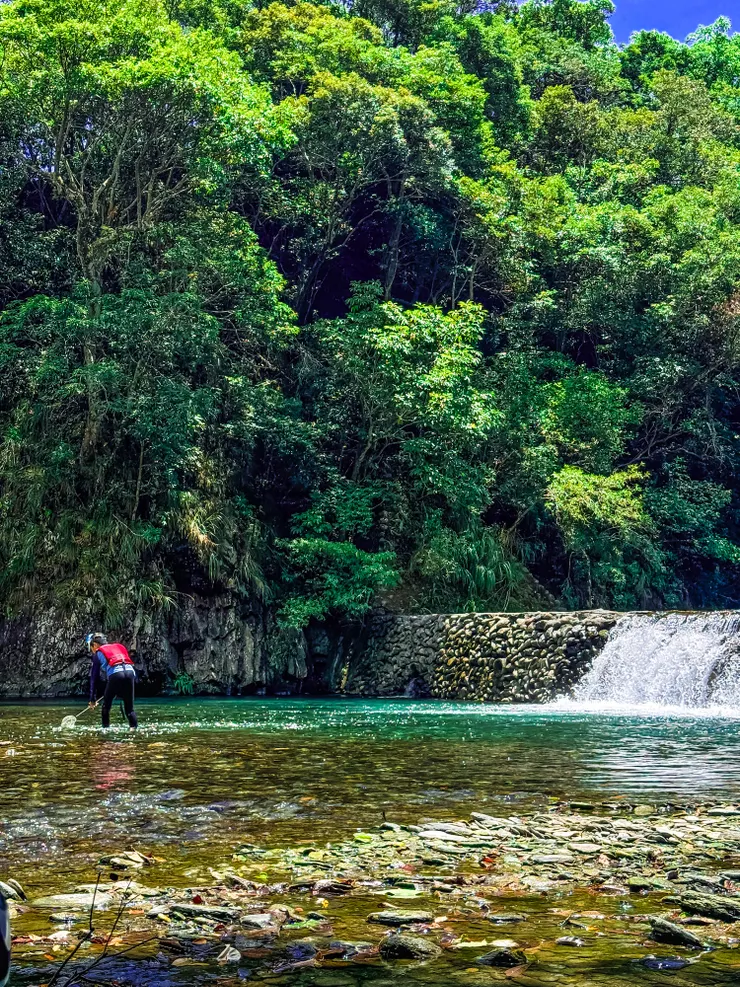 左邊就是跳水的位置~~走到上面向下看其實很可怕!!🫣