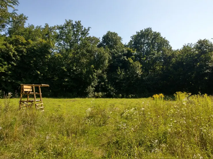 作為觀察台或觀鳥亭的木製高架座椅