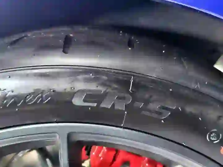 挑戰熱溶胎王RE-71RS?Nankang Sportnex CR-S山道乾濕地測試心得分享