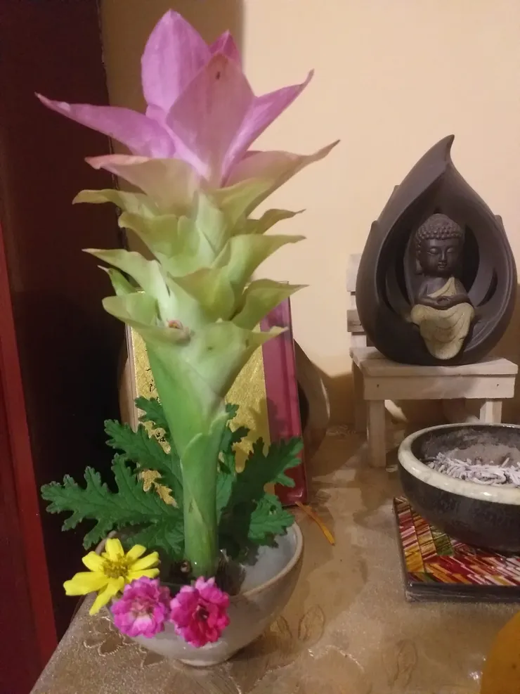 最後插花的成品