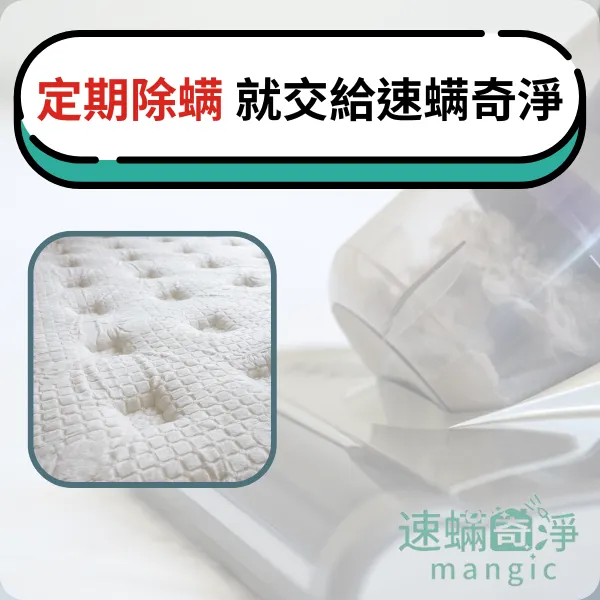 新北除螨推薦.新北除塵螨.台北除螨推薦.台北除塵螨