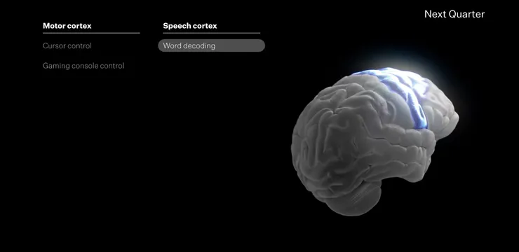 下季度目標：語言皮質層