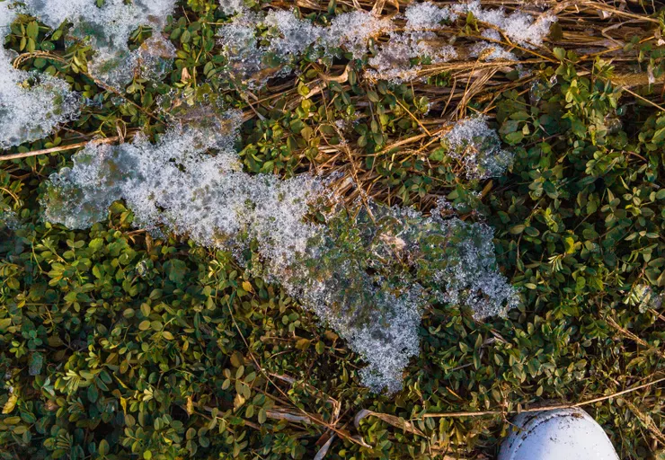 攝影／黃恭敏 Nero Huang