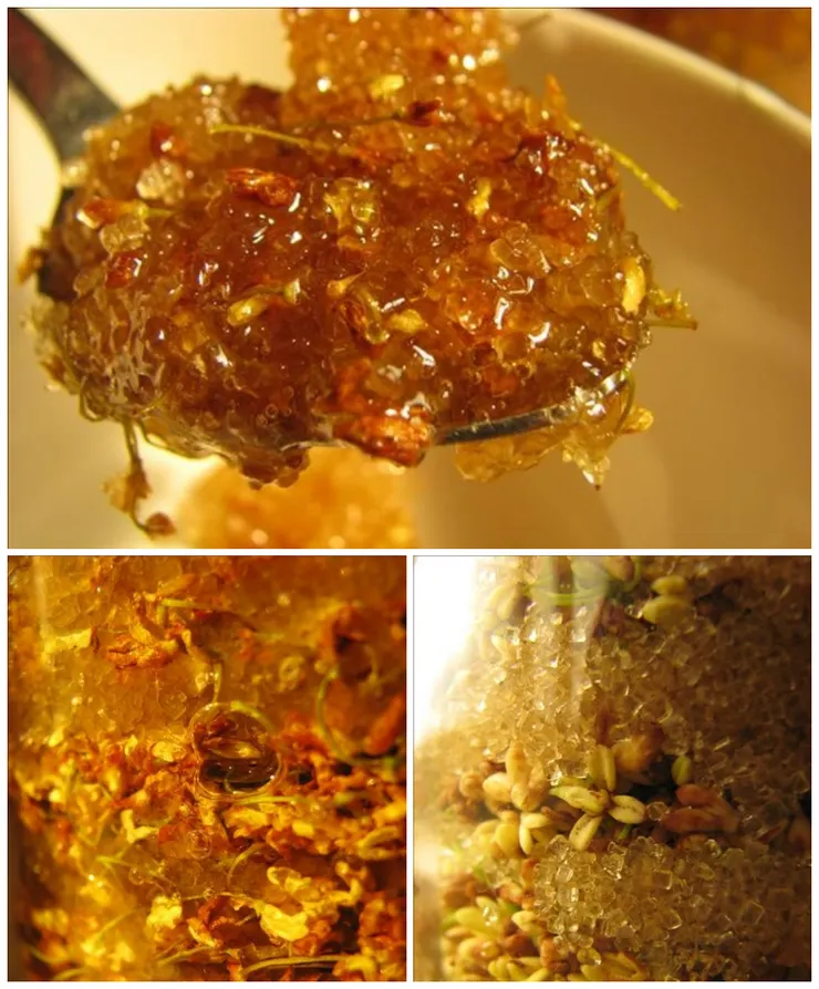 糖漬桂花作法：一層糖衣一層桂花，三天後糖開始融化，靜置一個月後即可食用。