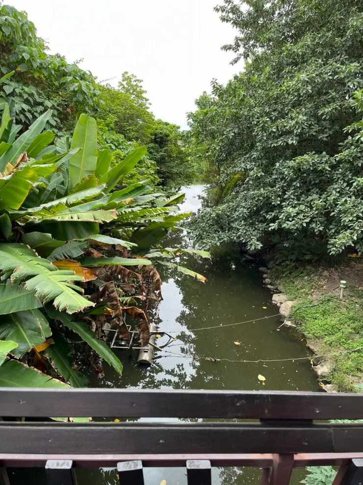 海岸公園旁邊的小水溝