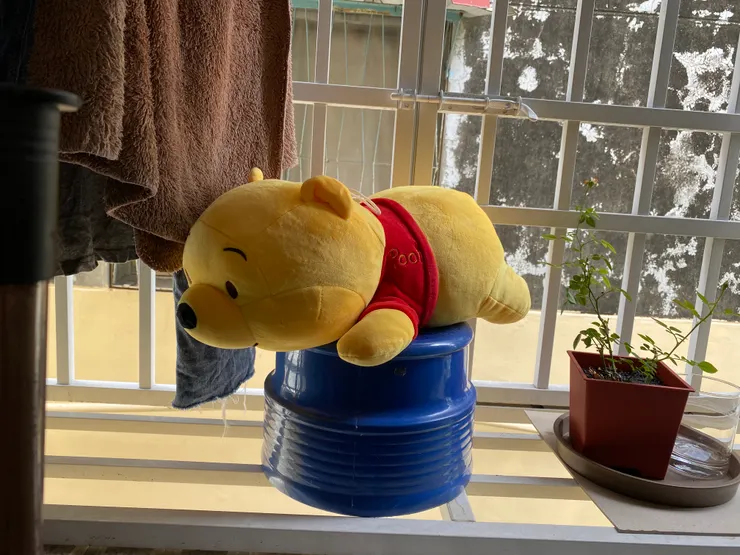 沒有阿伯的照片，出賣曬太陽的維尼🌞