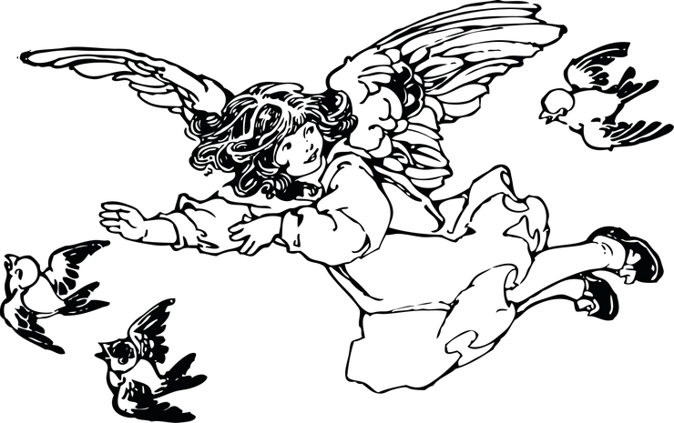 取自Heritage Library