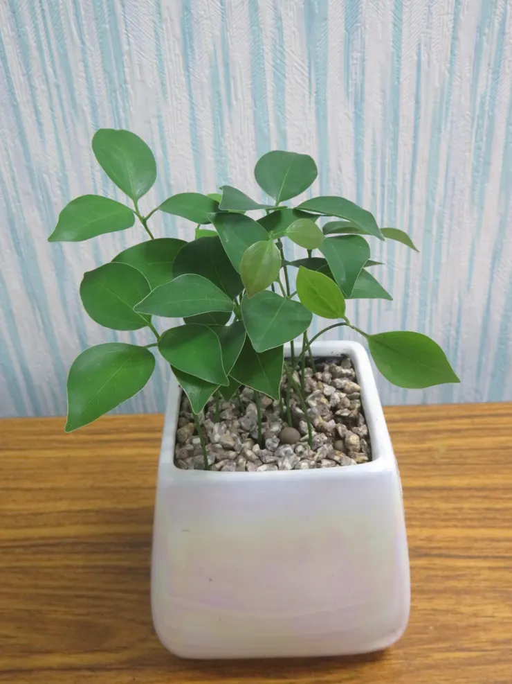 北投社大112.07.05