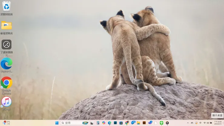 今天的電腦桌面截圖