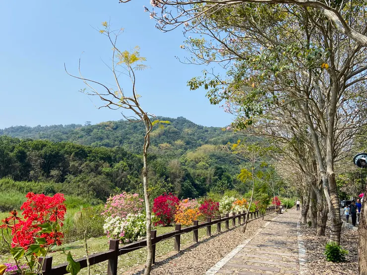 ▲ 鹿谷瑞龍宮旁的清水溝溪《九重葛花道》