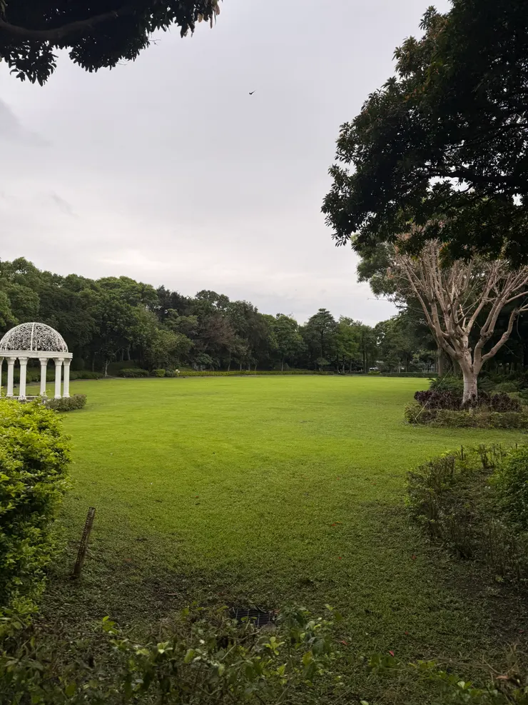 2026/04/25 大草皮