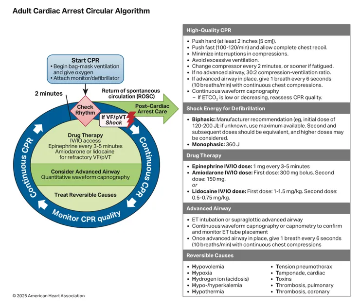 成人心肺停止急救流程（2025 AHA)